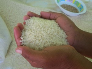 Makan beras mentah
