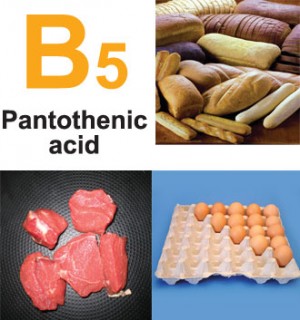 Vitamin B5 atau pantothenic acid