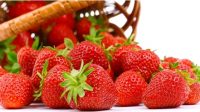 Strawberry Untuk Ibu Hamil
