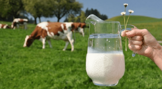 Manfaat Susu Mentah Untuk Kecantikan Dan Cara Menggunakannya